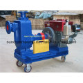 Zw Big Flow Clean Water Pump ISO9001 Certified